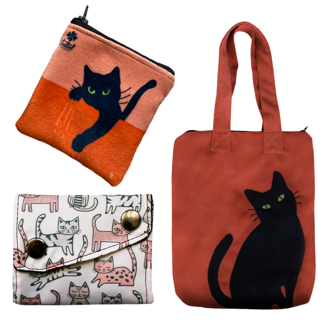 Pack Cat Naranja